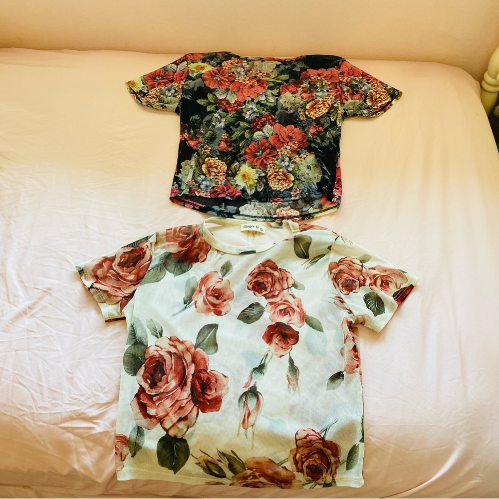 Lot Ginger G Cottagecore Romantic Sheer Floral Mesh Crop Tshirts